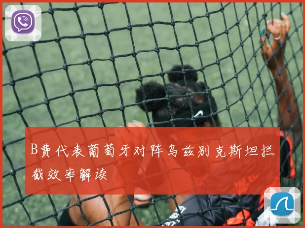 B费代表葡萄牙对阵乌兹别克斯坦拦截效率解读