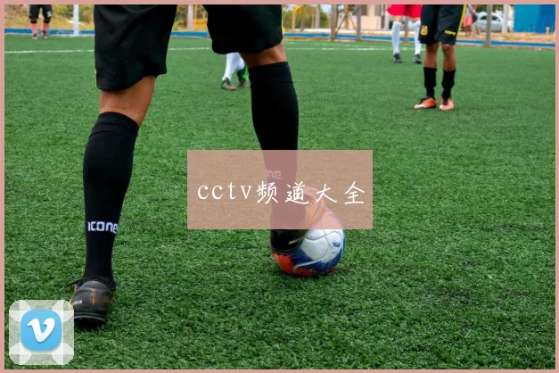 cctv频道大全