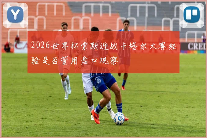 2026世界杯索默迎战卡塔尔大赛经验是否管用盘口观察