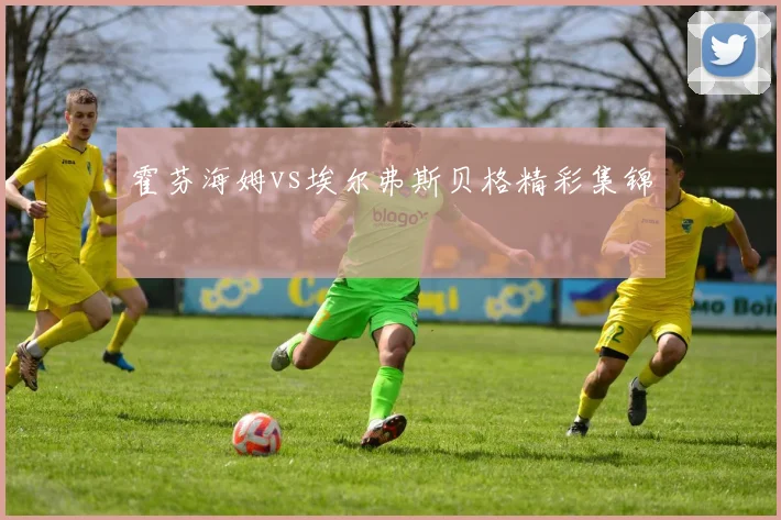 霍芬海姆vs埃尔弗斯贝格精彩集锦