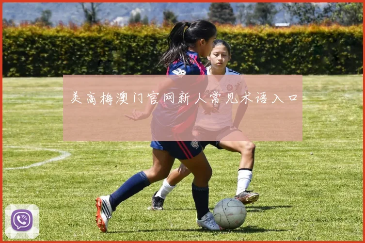 美高梅澳门官网新人常见术语入口